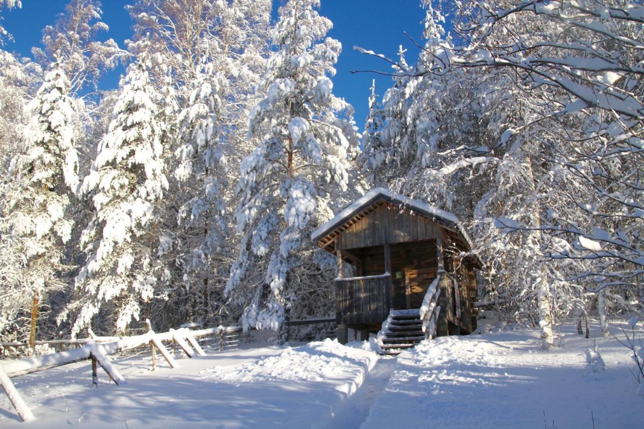 Kolin Mattila B&B Колинкюла Экстерьер фото